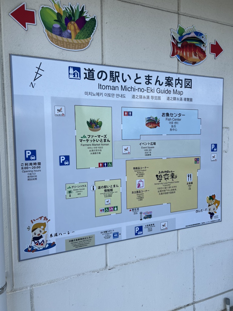 投稿された画像