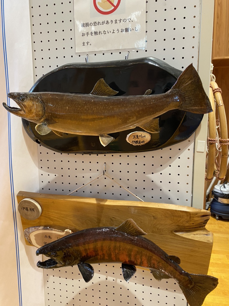 投稿された画像