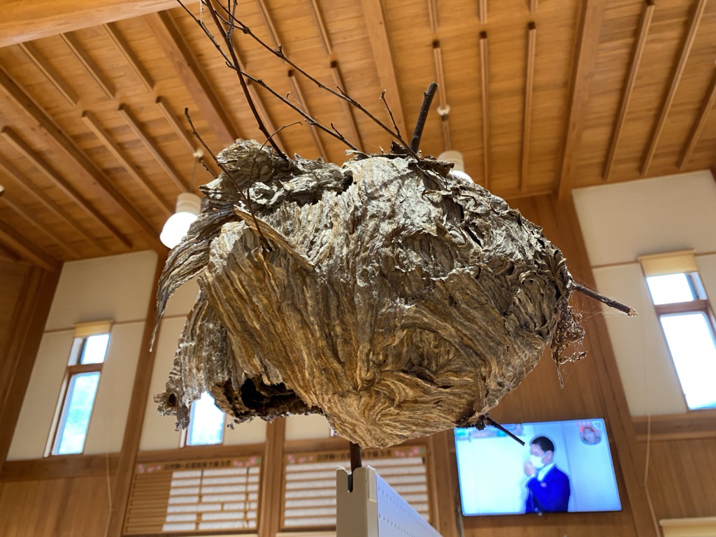 投稿された画像