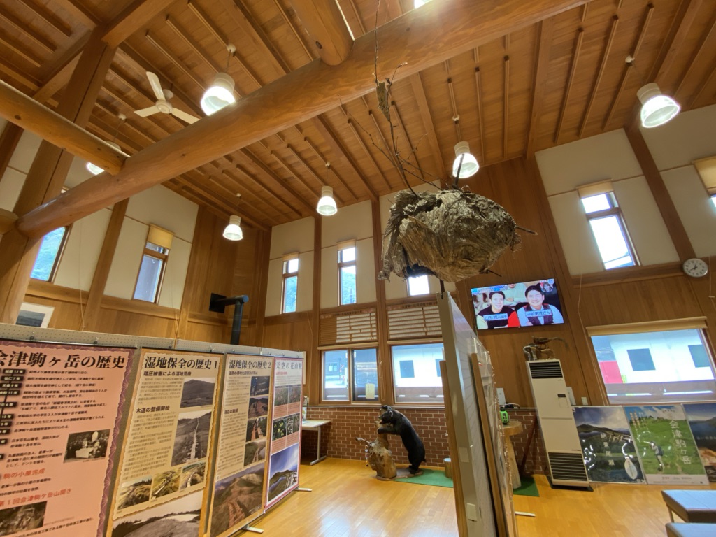 投稿された画像