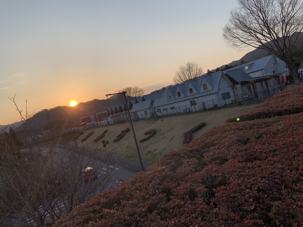 投稿された画像