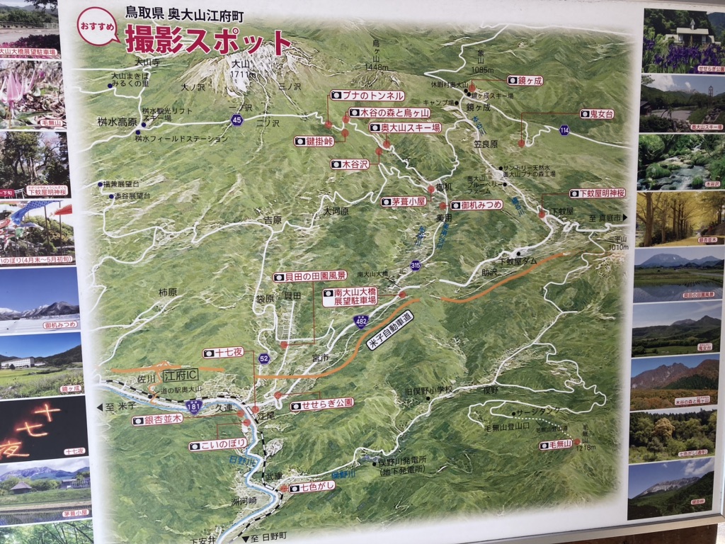 投稿された画像