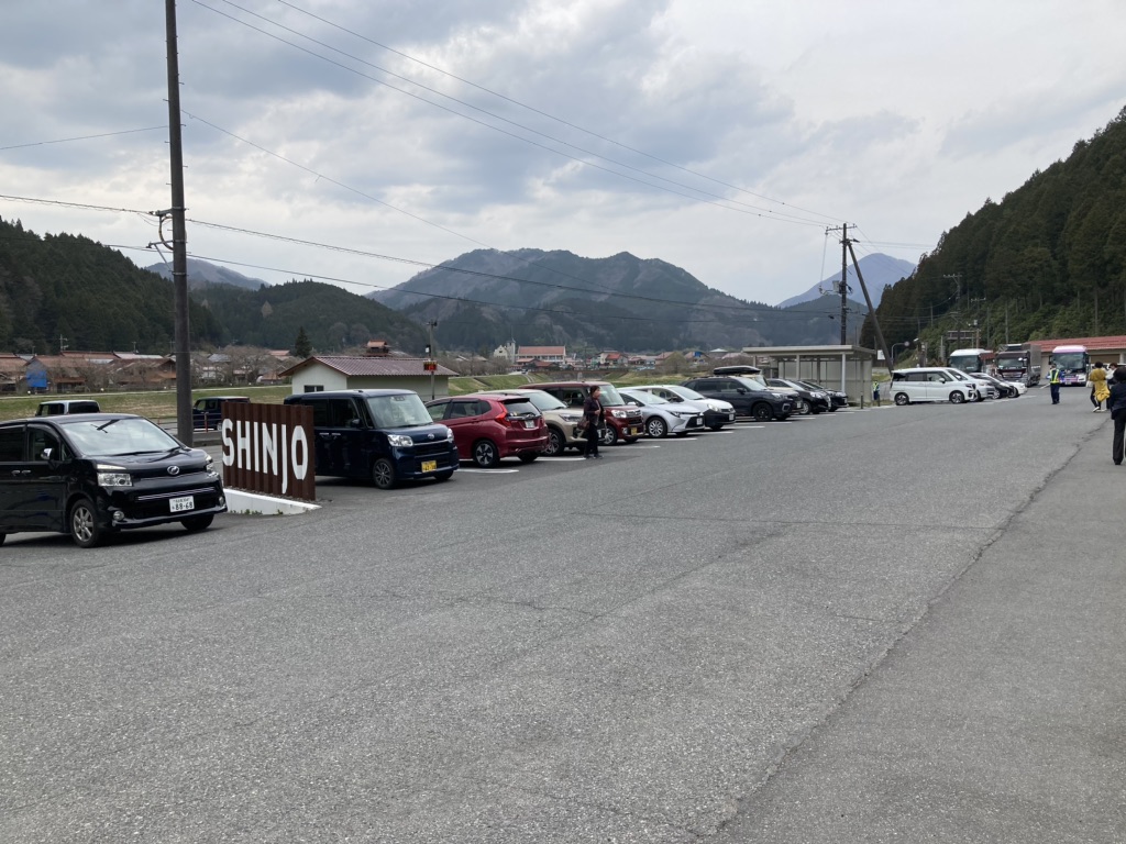 投稿された画像