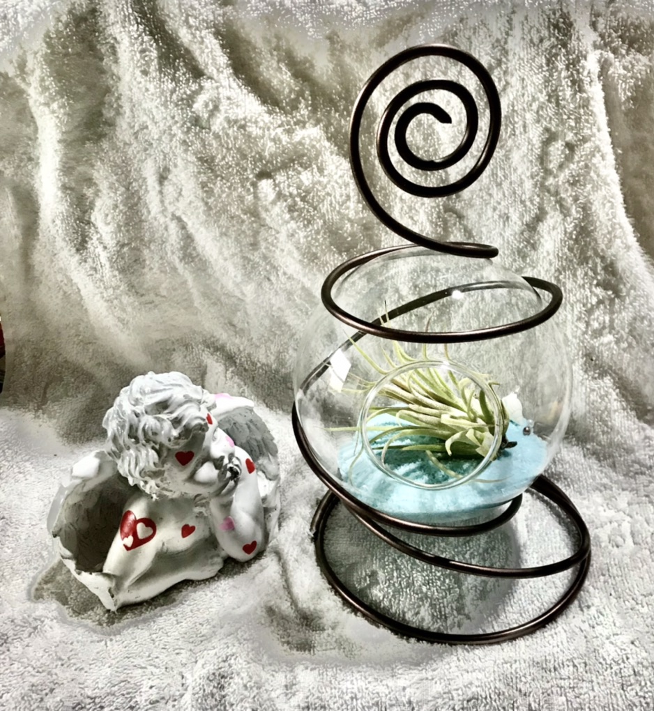 投稿された画像