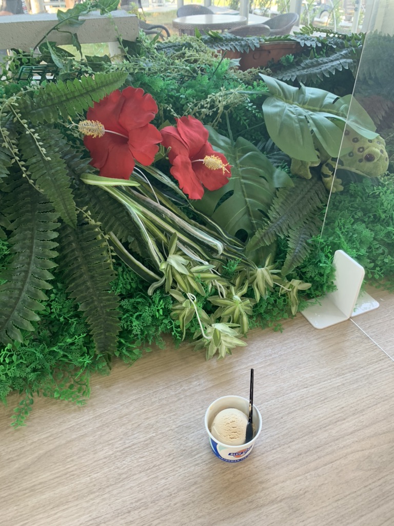 投稿された画像