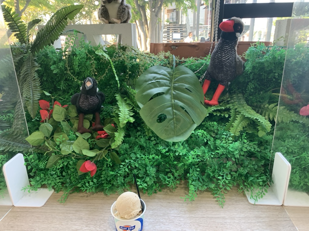 投稿された画像