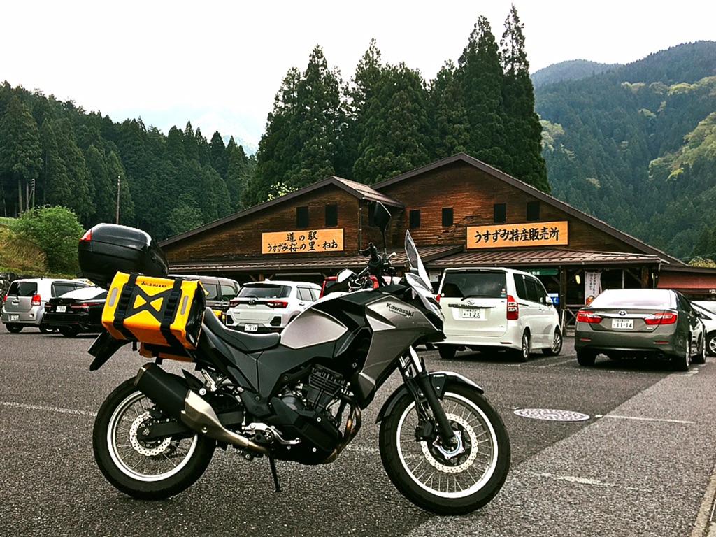 投稿された画像