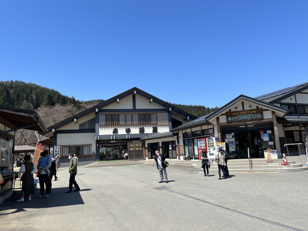 投稿された画像