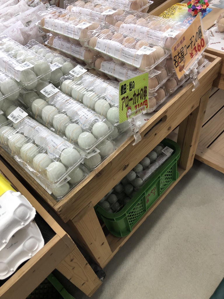 投稿された画像