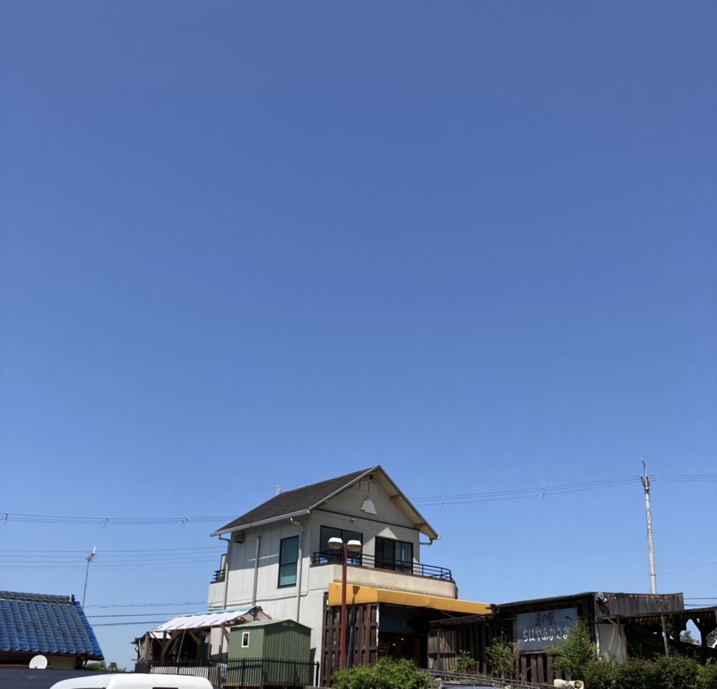 投稿された画像