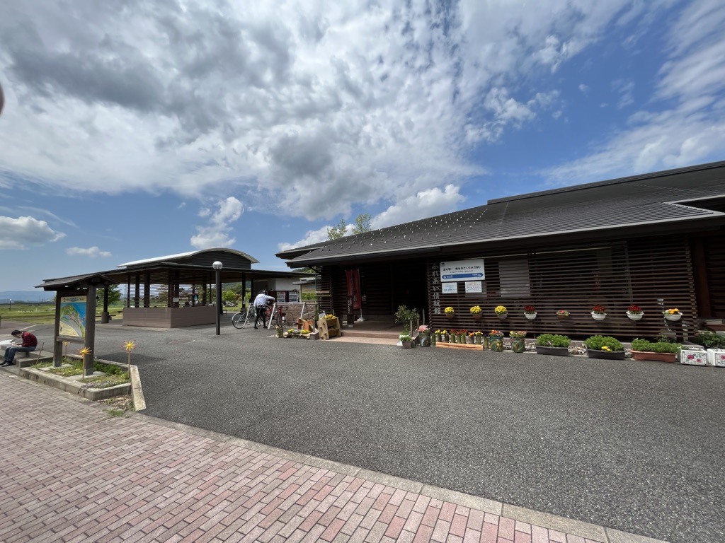 投稿された画像