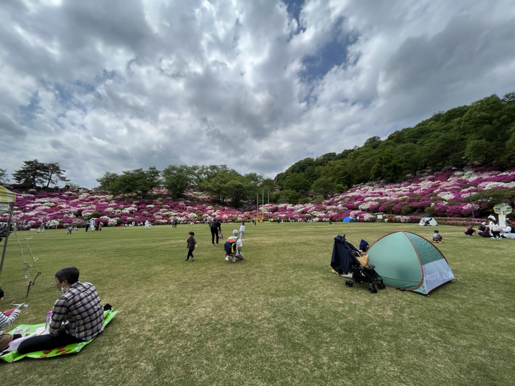 投稿された画像