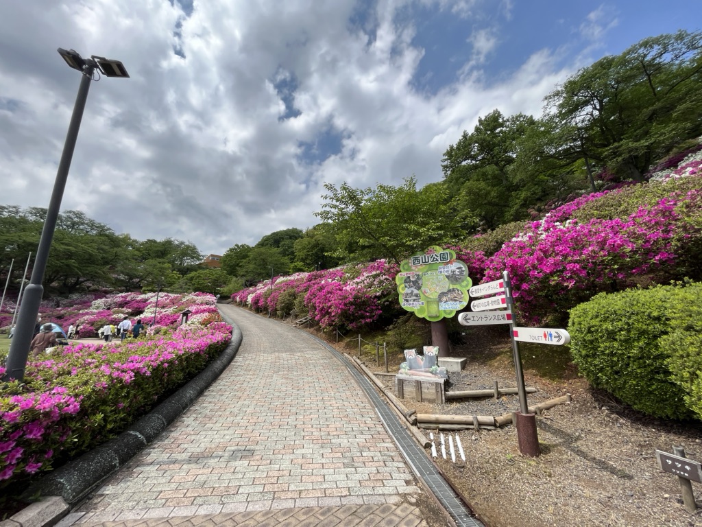 投稿された画像