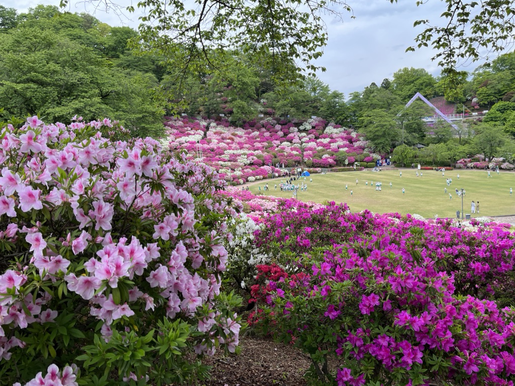 投稿された画像