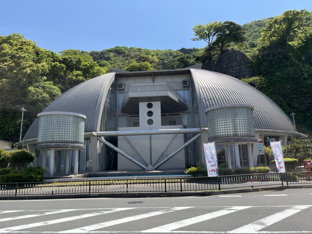 投稿された画像