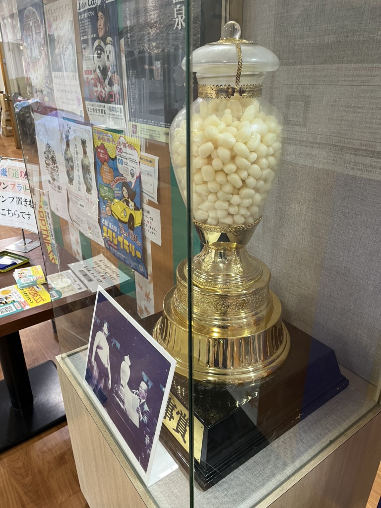 投稿された画像