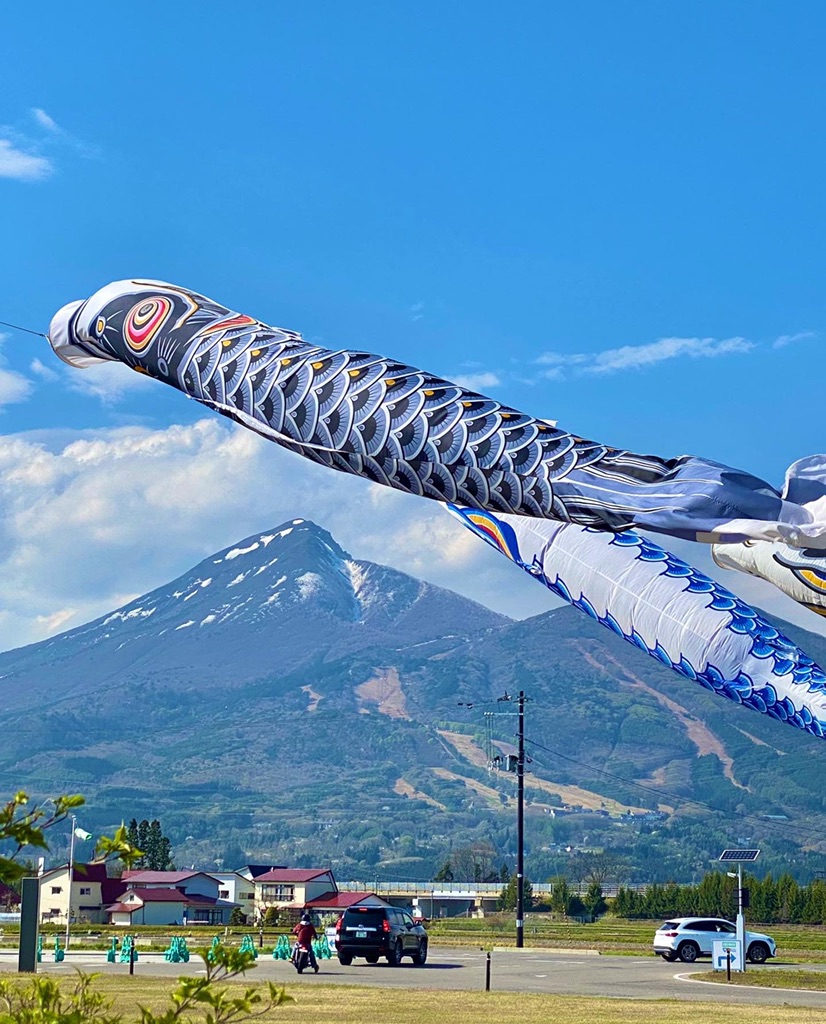 投稿された画像