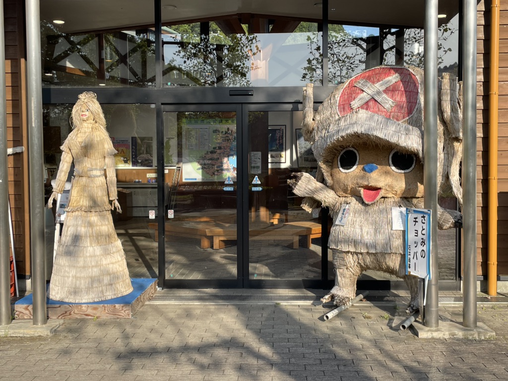 投稿された画像