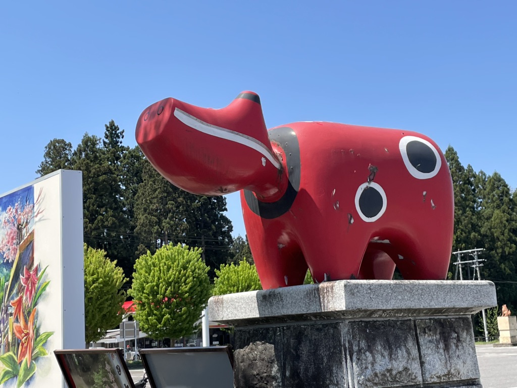 投稿された画像