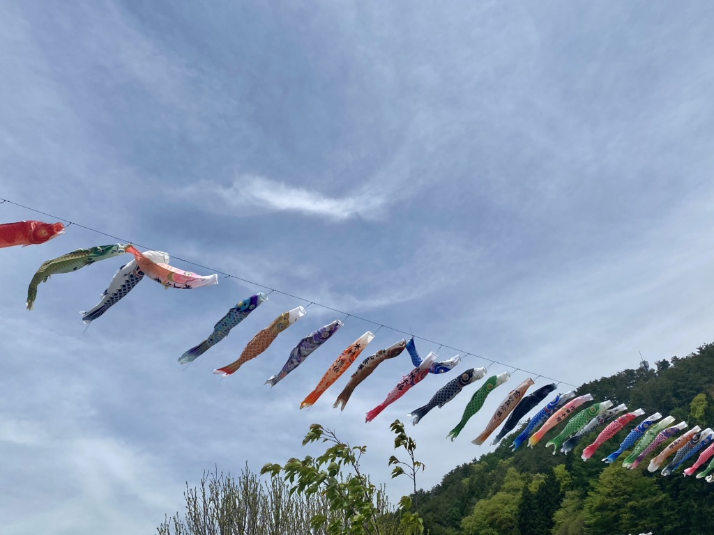 投稿された画像