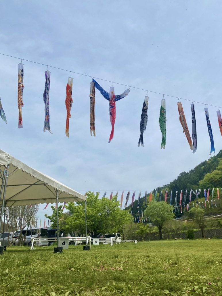 投稿された画像