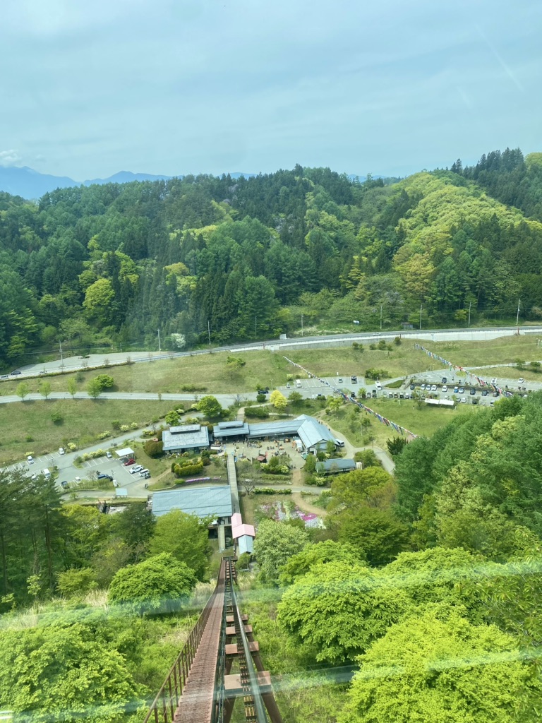 投稿された画像