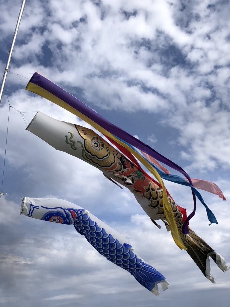 投稿された画像