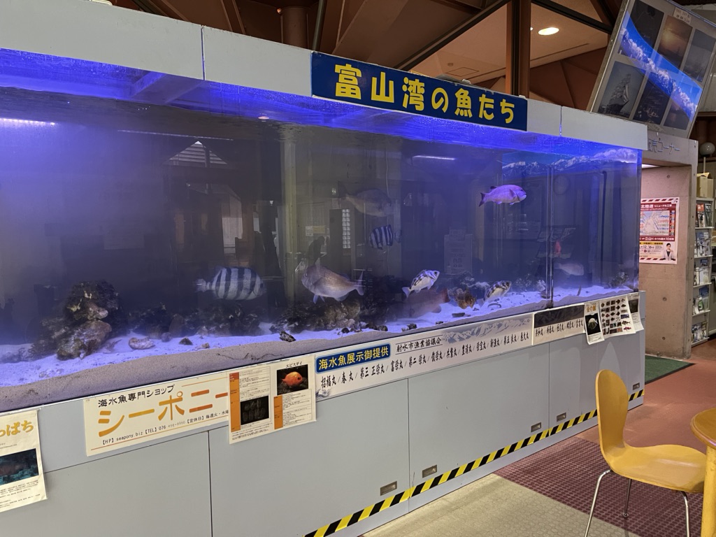 投稿された画像