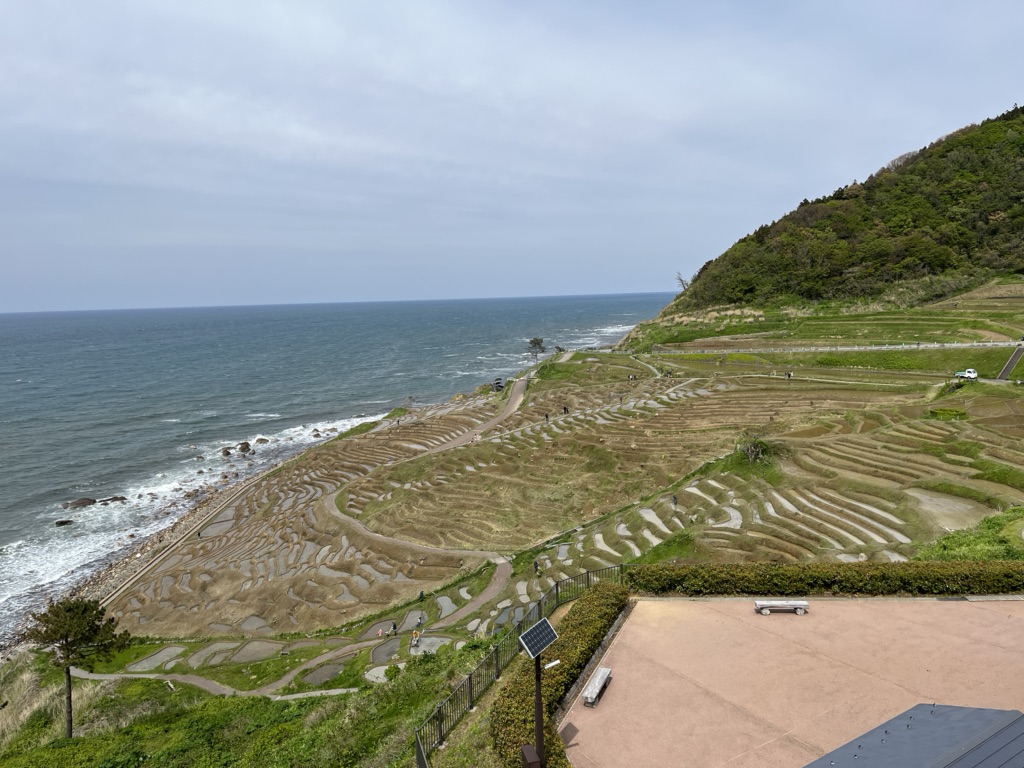 投稿された画像