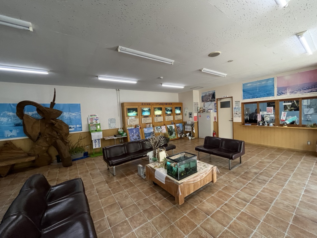 投稿された画像