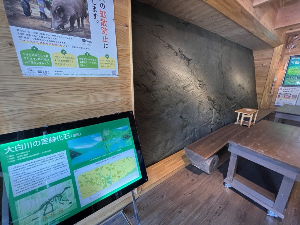 投稿された画像