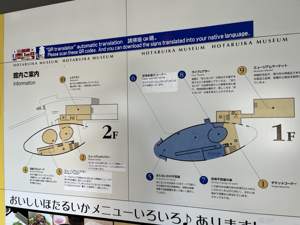 投稿された画像