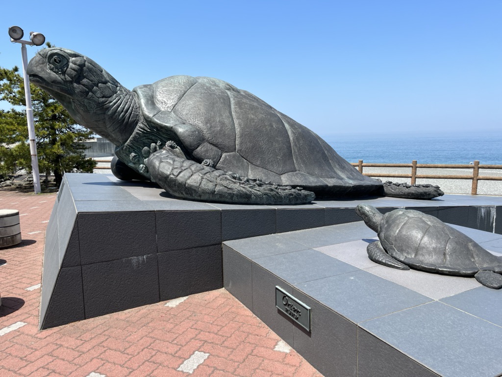投稿された画像