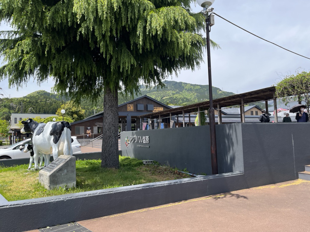 投稿された画像