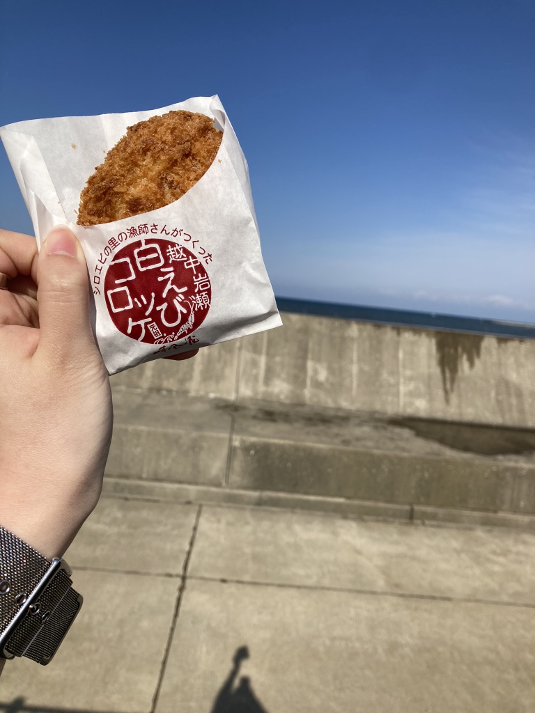 投稿された画像