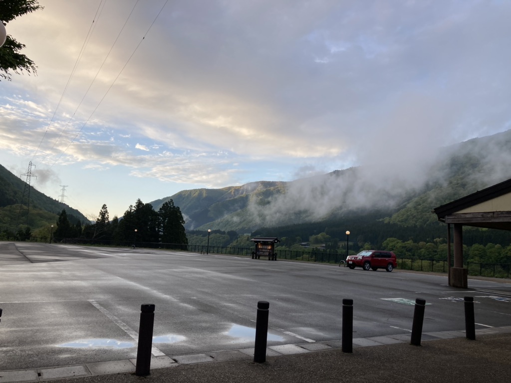 投稿された画像