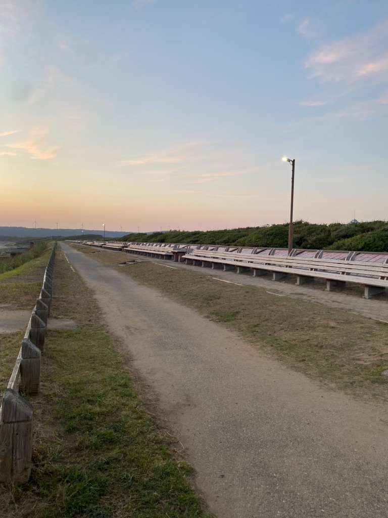 投稿された画像