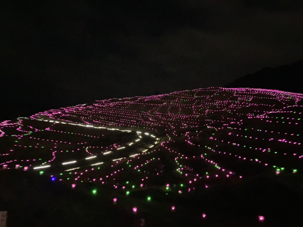 投稿された画像