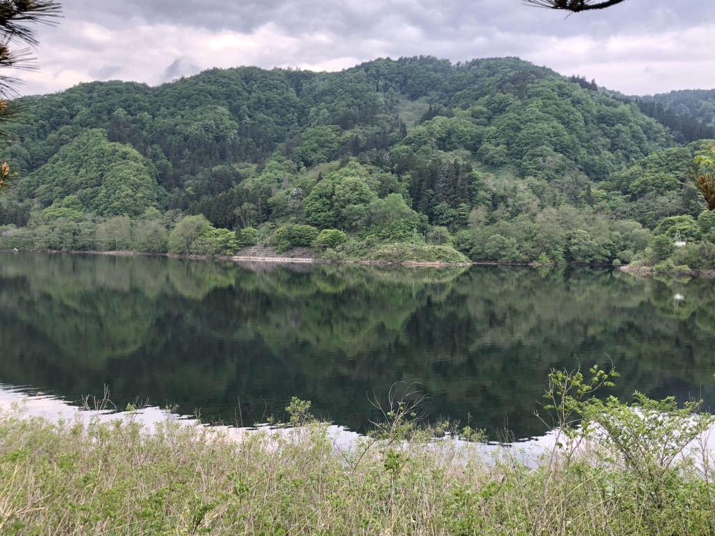 投稿された画像