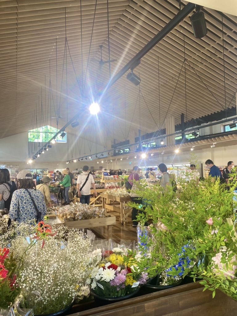 投稿された画像