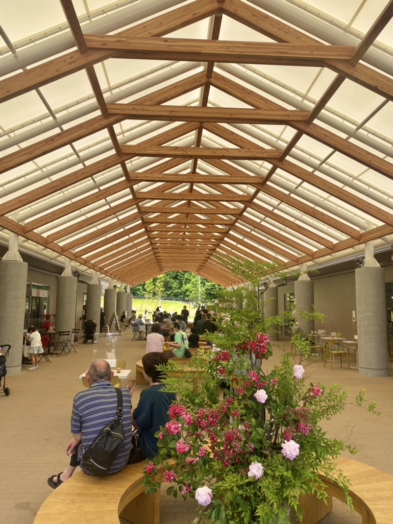 投稿された画像