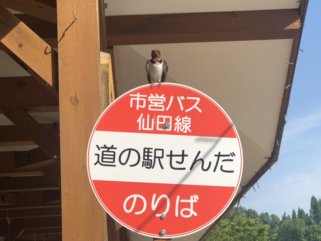 投稿された画像