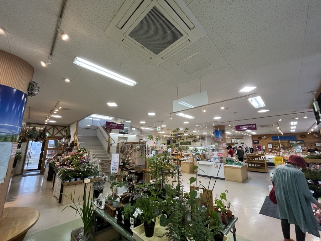 投稿された画像