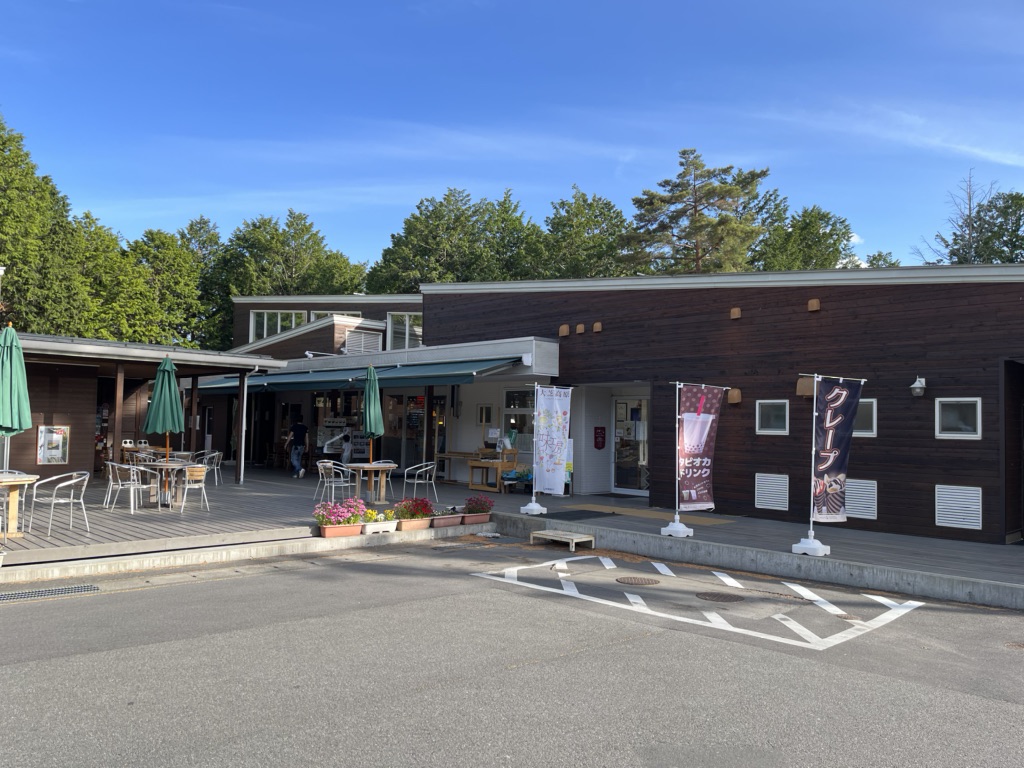 投稿された画像