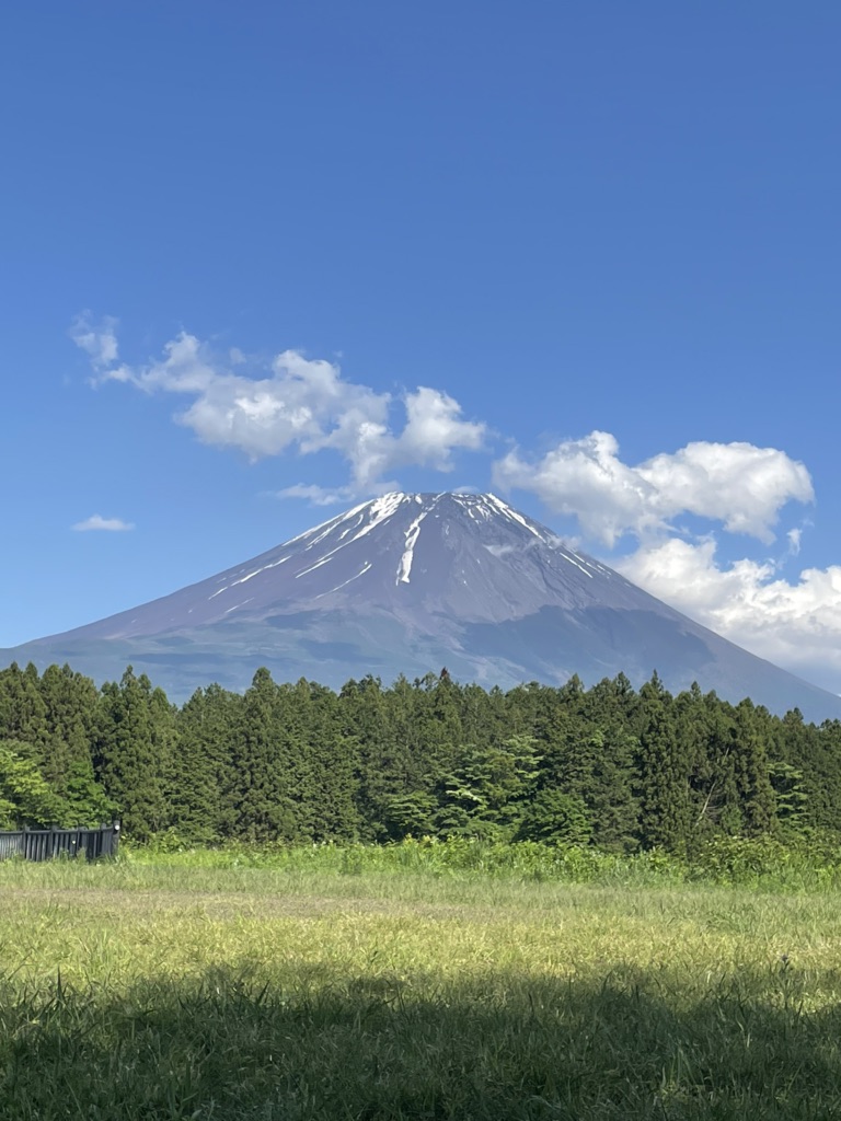 投稿された画像