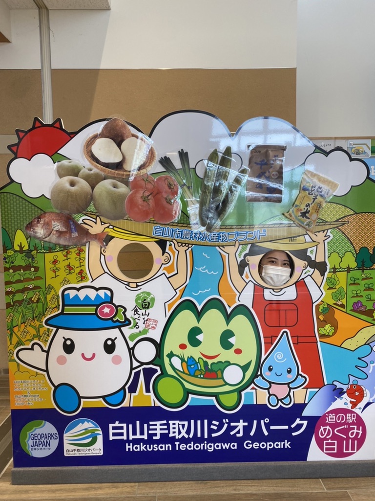 投稿された画像