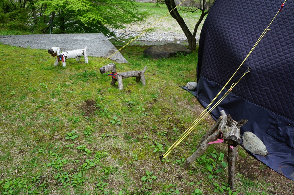 投稿された画像