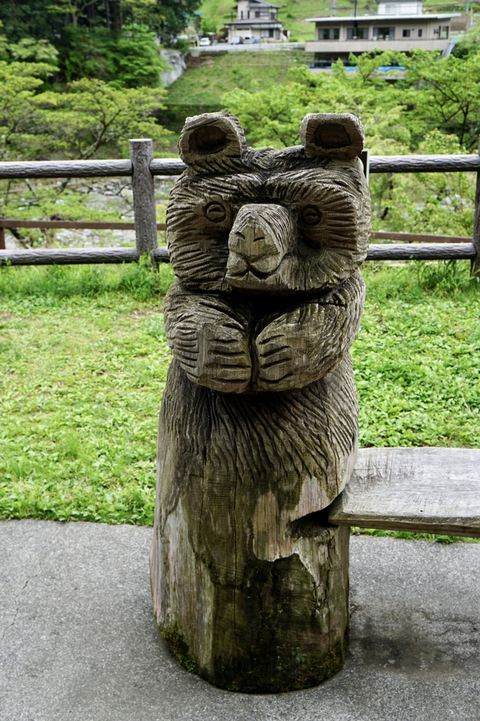 投稿された画像