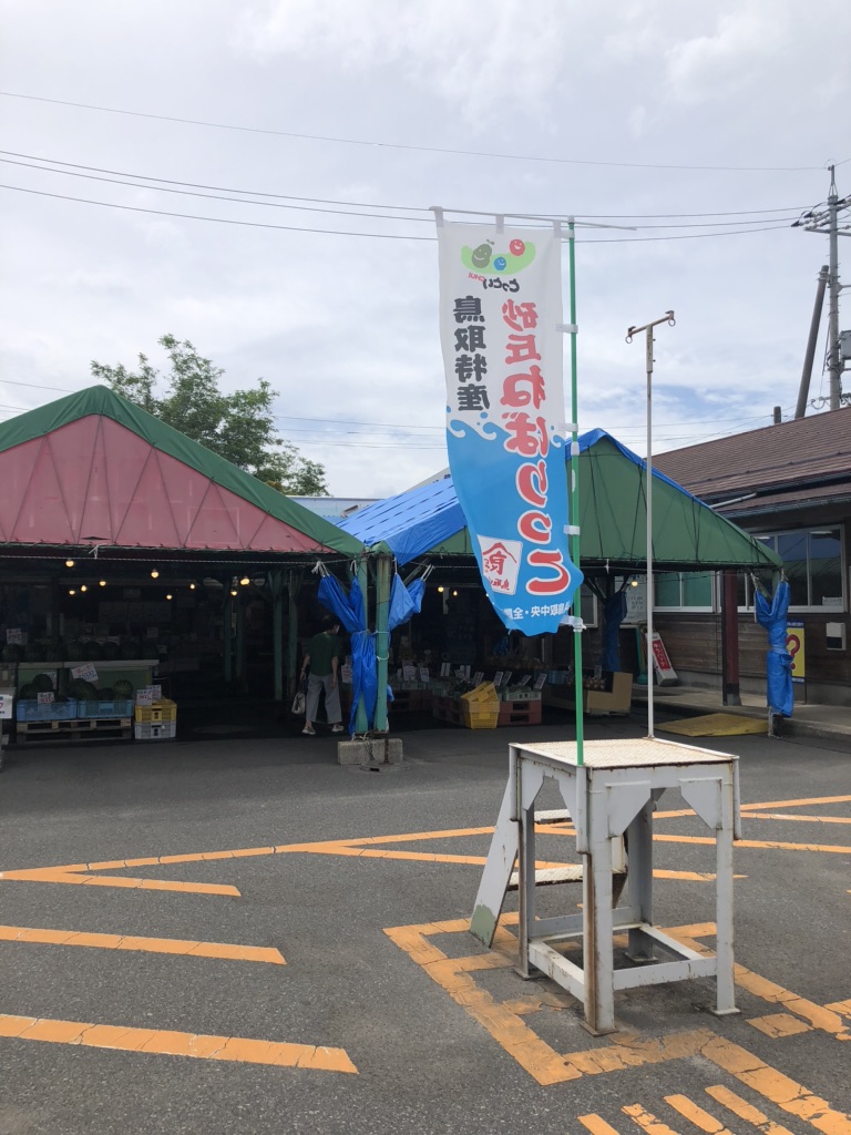 投稿された画像