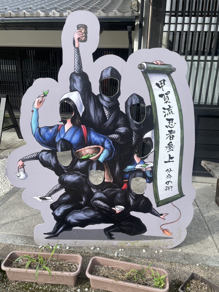 投稿された画像